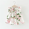 Wholesale summer baby frock designs short sleeve baby girl leisure dress