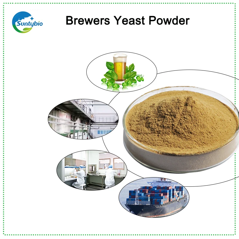 Brewers Yeast Extract / Supplement,Beer Yeast Powder Buy Yeasract