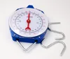 Capacity 200kg Mechanical Hanging Crane Scale with 2 Hook for Sale