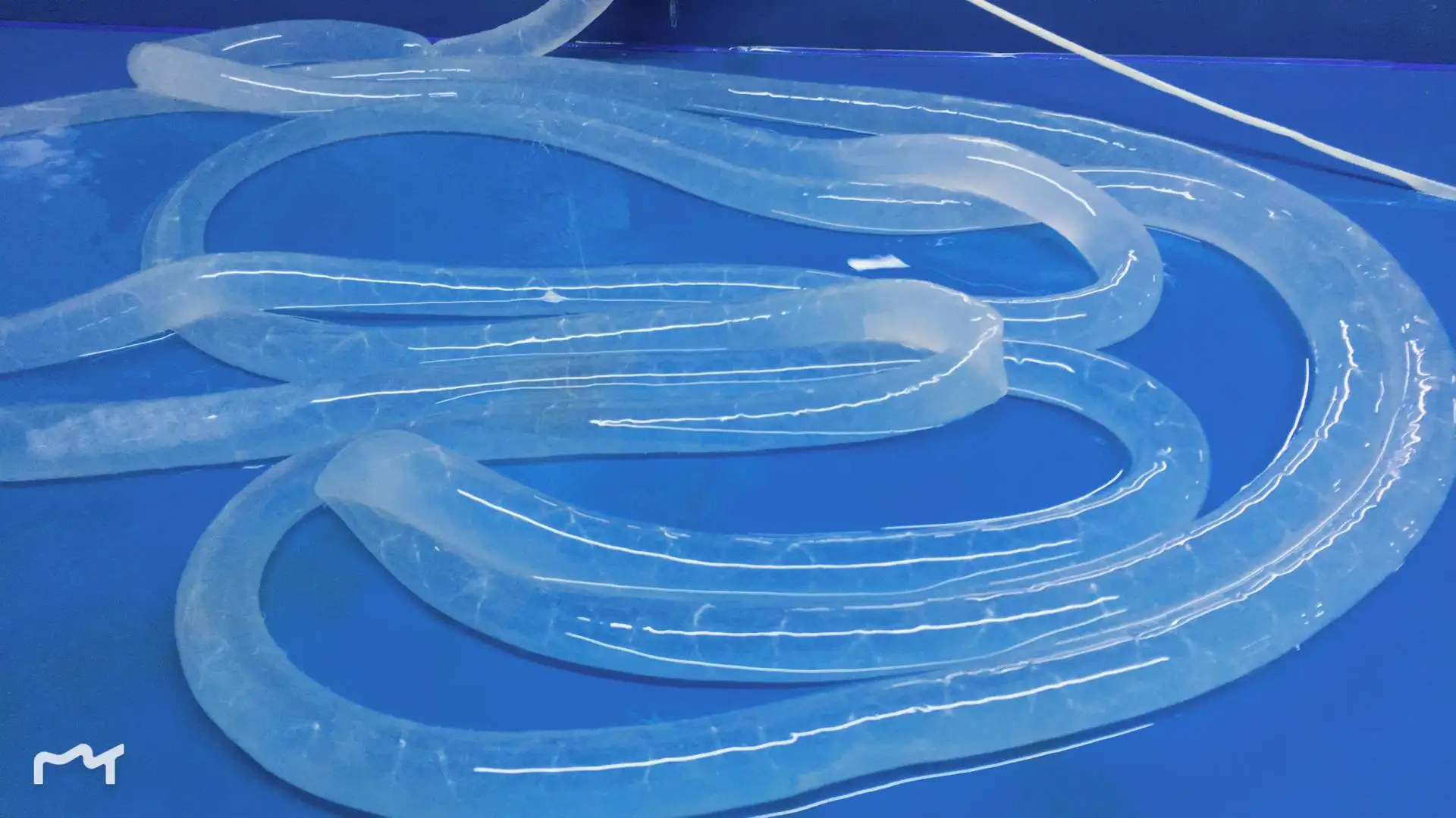 中国供应商安全天然盐渍人造香肠肠衣