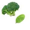 Instant Drink broccoli powder nutrition facts For Juice Processing