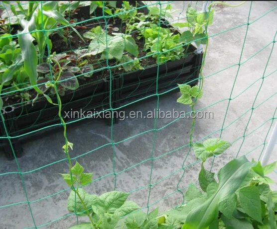 Nylon Filet Plantes soutient Grape Vine Support Support Escalade fruits Maille 10*10cm