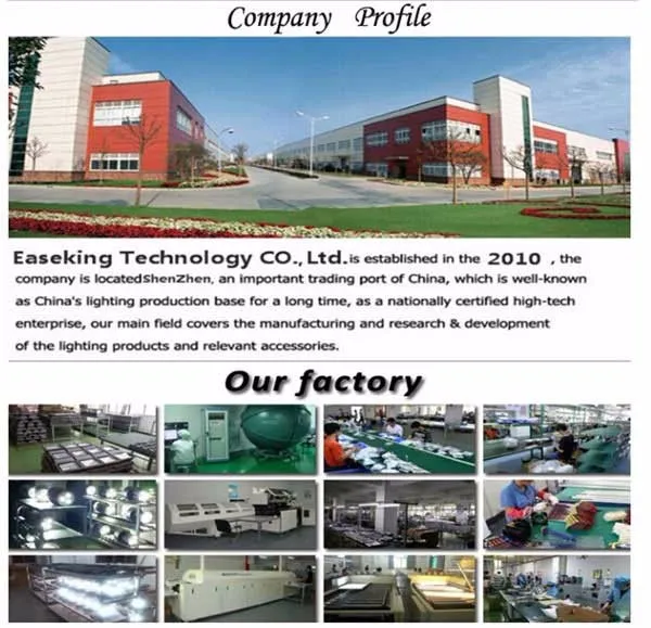 led neon light 15 (5).jpg