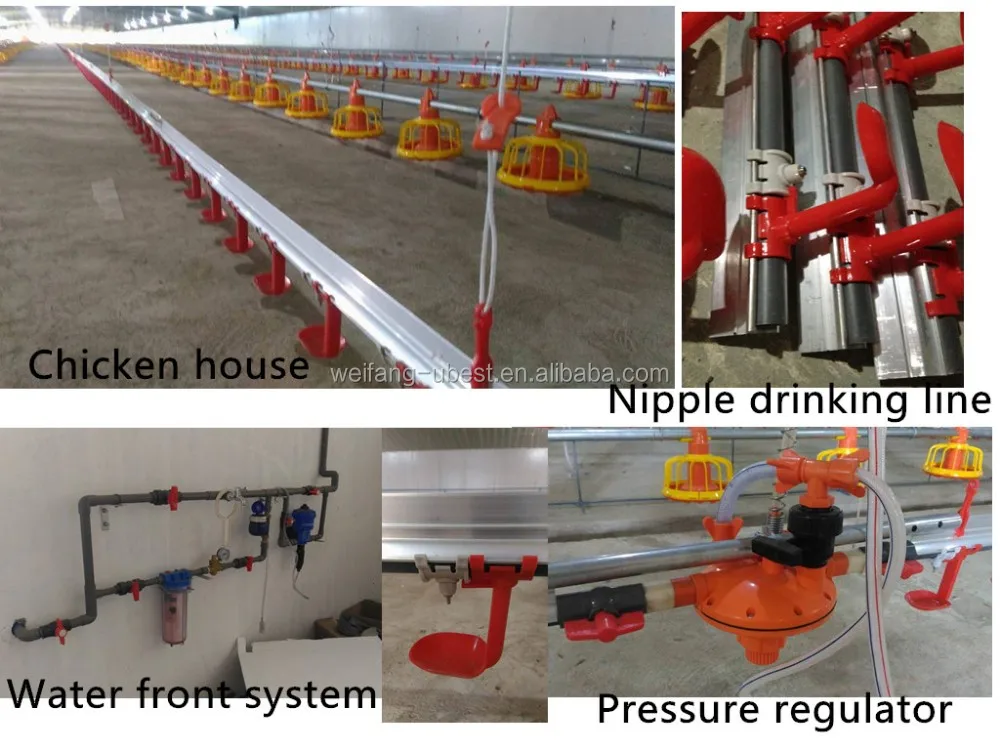 new design nipple drinking system.jpg