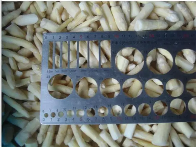 white asparagus tips & cuts 1