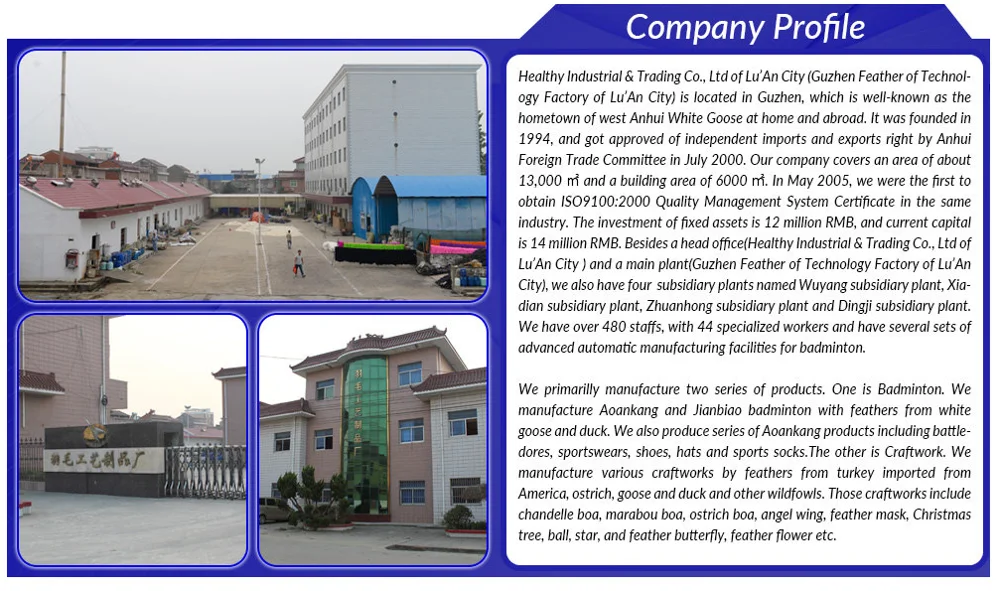 company profile 1.png