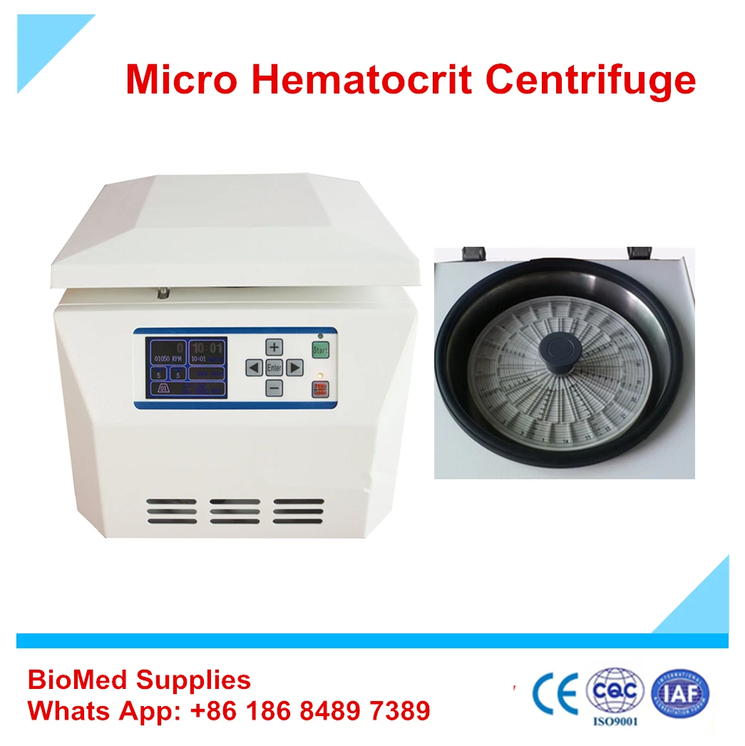 China Table Type Hematocrit Centrifuge With 24 Capillary 75mm Blood