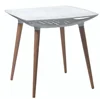 ABS material surface beechwood leg plastic table