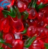 Cherry Shape-Fruit Vitamine C Vitamin Gummy Candy