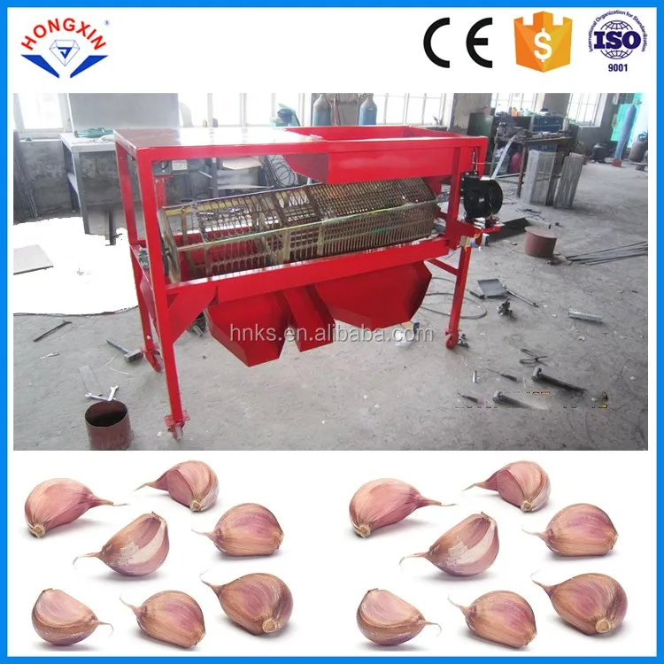 automatic garlic sorting machine with good price for sale