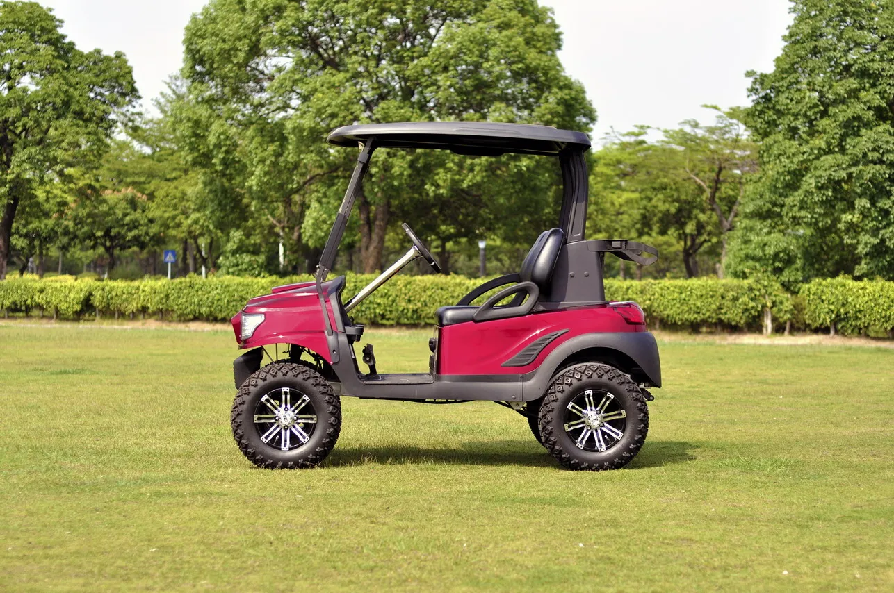Best 4.4kw 48v Electric Cheap Off Road Electric Golf Cart With Ce From