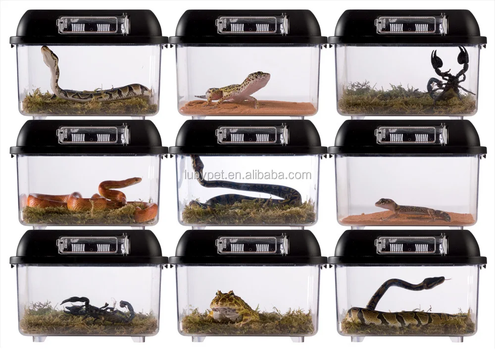 Portable Plastic Reptile Cage Breeding Box,For Insect And Small Reptile