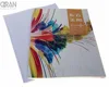 Free sample and design colorful printing softcover photos book with custom requests