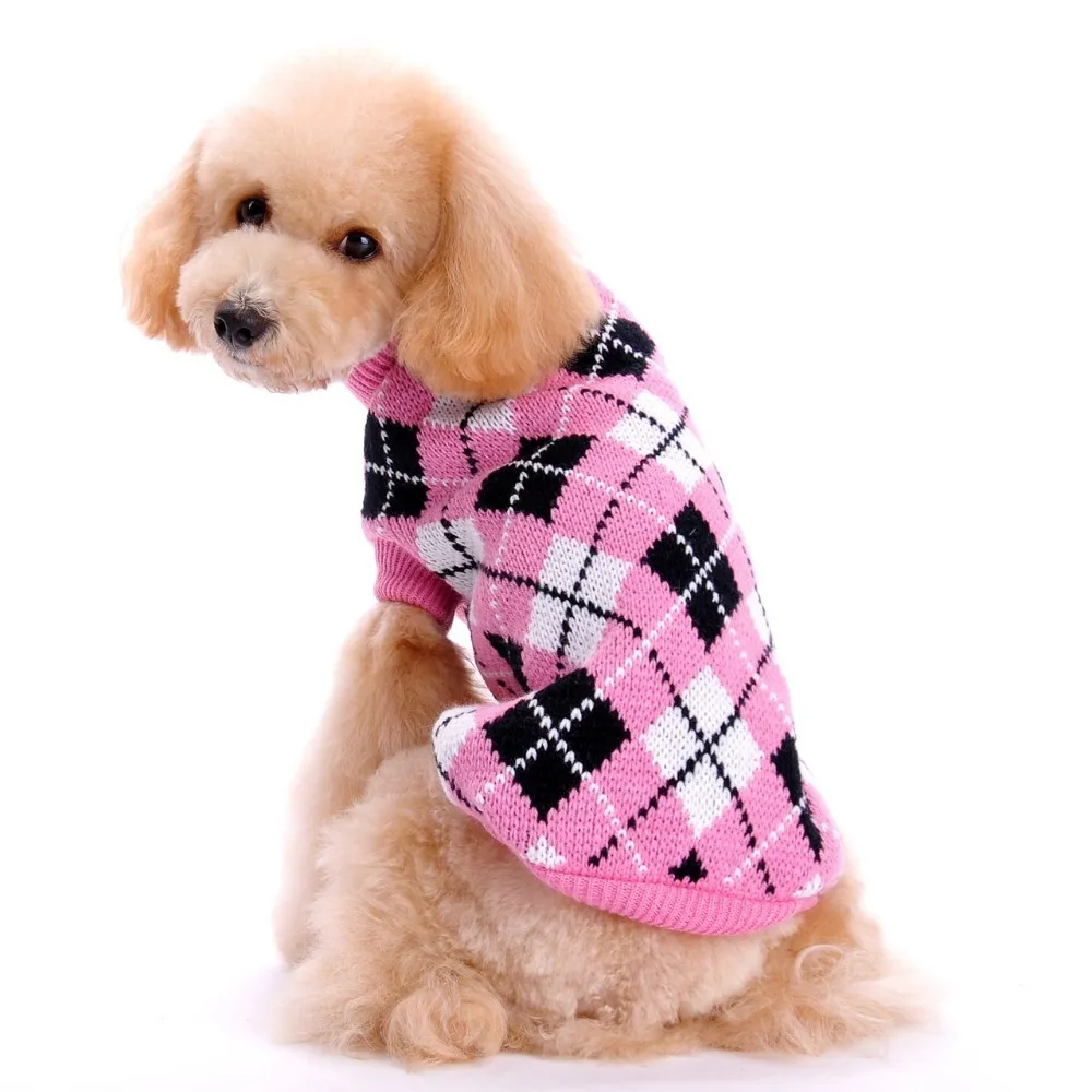 pink puppy sweater