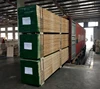 OSHA Radiate Pine LVL Timber for Sale