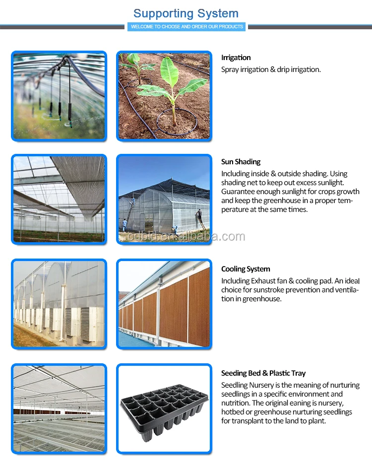 Supporting System.jpg