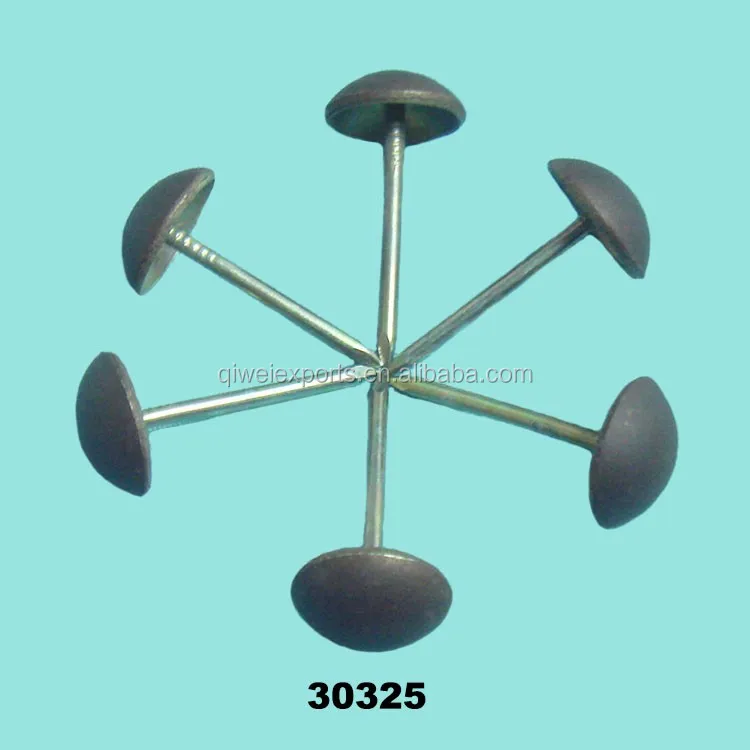 30325