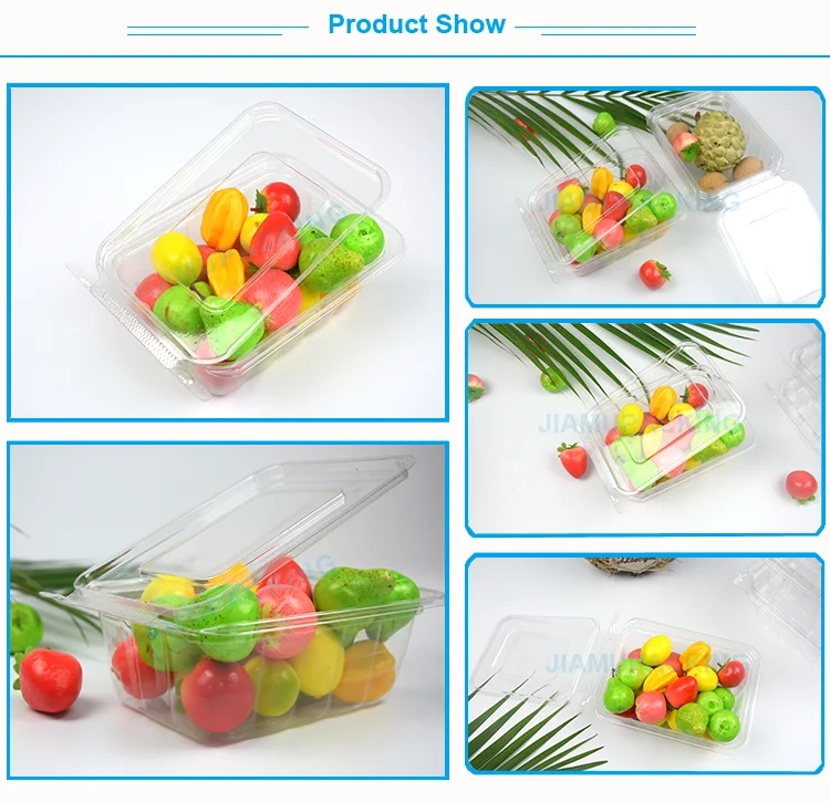 Clear Biodegradable Disposable Plastic Fruit Container Buy Plastic