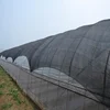 100% new material with UV garden plastic windbreaker shade net&agricultural green sun 50% shading net