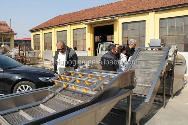 Industrial Ozone Fruit and Vegetable Washer and Dryer Prices, Commercial Vegetable Washer