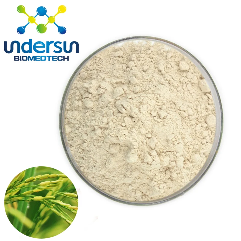 Undersun Low Prices Food Grade Bulk Gluten Meal Organic Textured