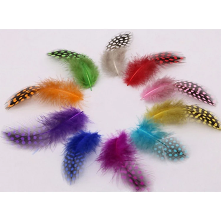 where to buy decorative feathers