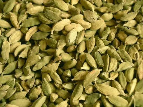 Cardamom.jpg