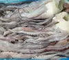 Frozen peru giant squid tentacles