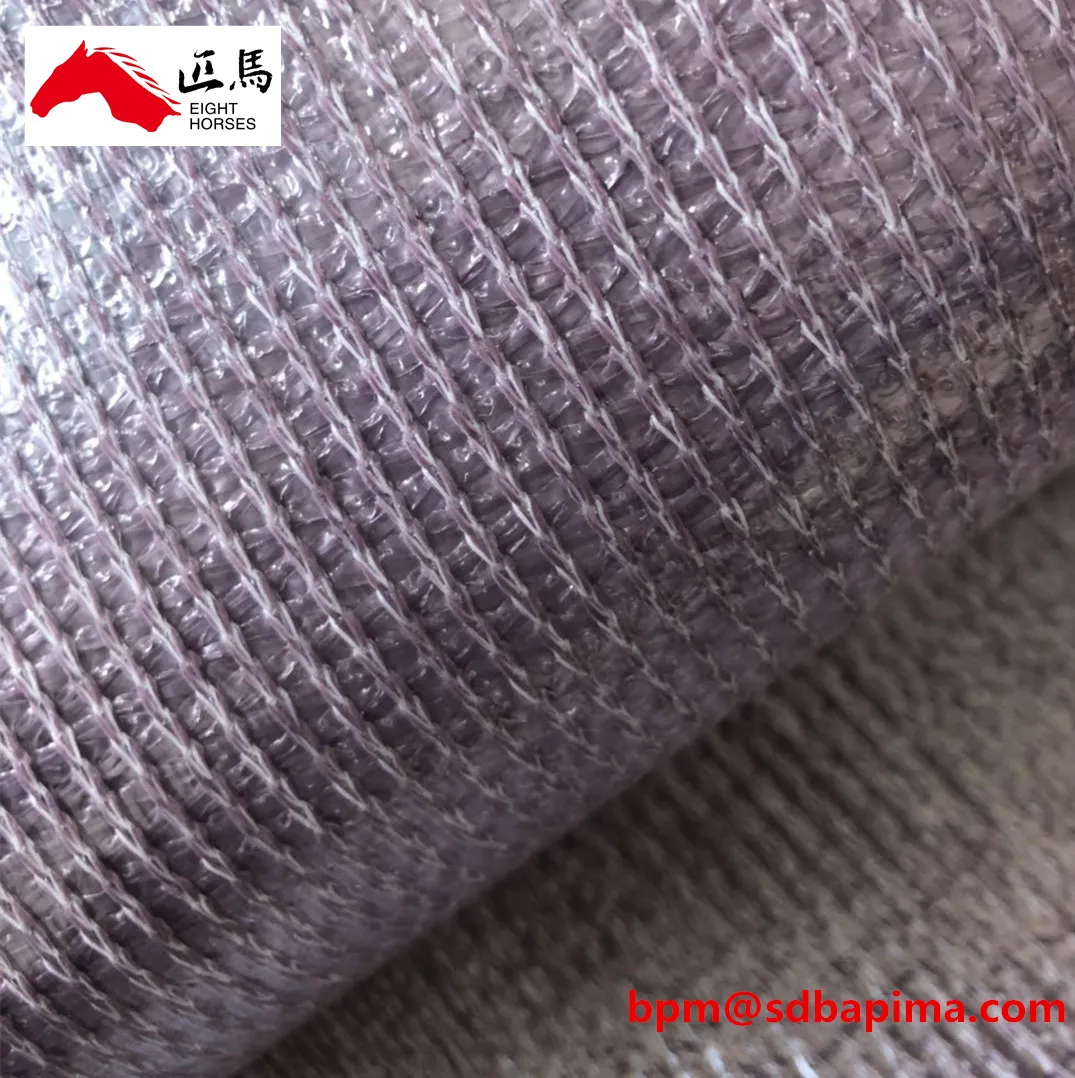 shade sail with film.jpg