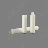 Capsule Filter 0.1um 0.22um PES 5 inch ink filter/printing ink making machine
