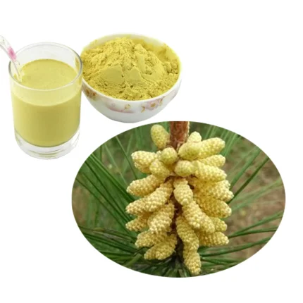 pine flower extract shell-broken bulk pine pollen powder organic