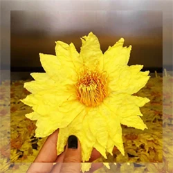 Nature blooming dried flower tea flower buds tea Dry rose tea - 4uTea | 4uTea.com
