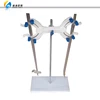Fully Automatic oil total acid number analyzer,total base number testing equipment, TAN and TBN laboratory titrator