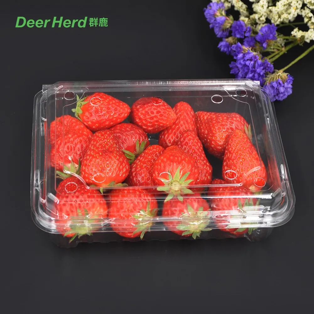Disposable Clear Plastic Strawberry Containers Rigid Plastic Pet