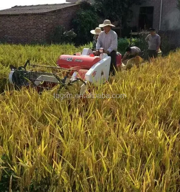 Paddy Rice Cutter Machine 4lz1.2 Harvester/mini Rice Combine Machine
