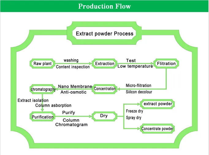 Hot Sale Reishi Mushroom Extract Powder Polysaccharide 50 For Anti