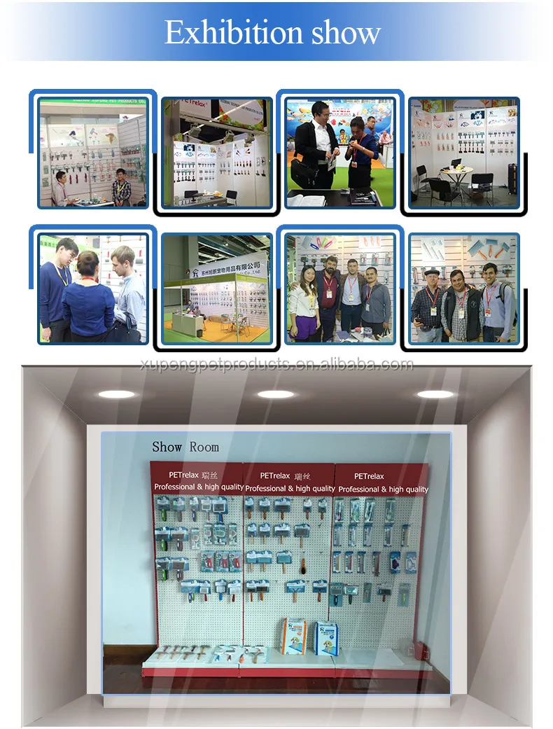exhibition show