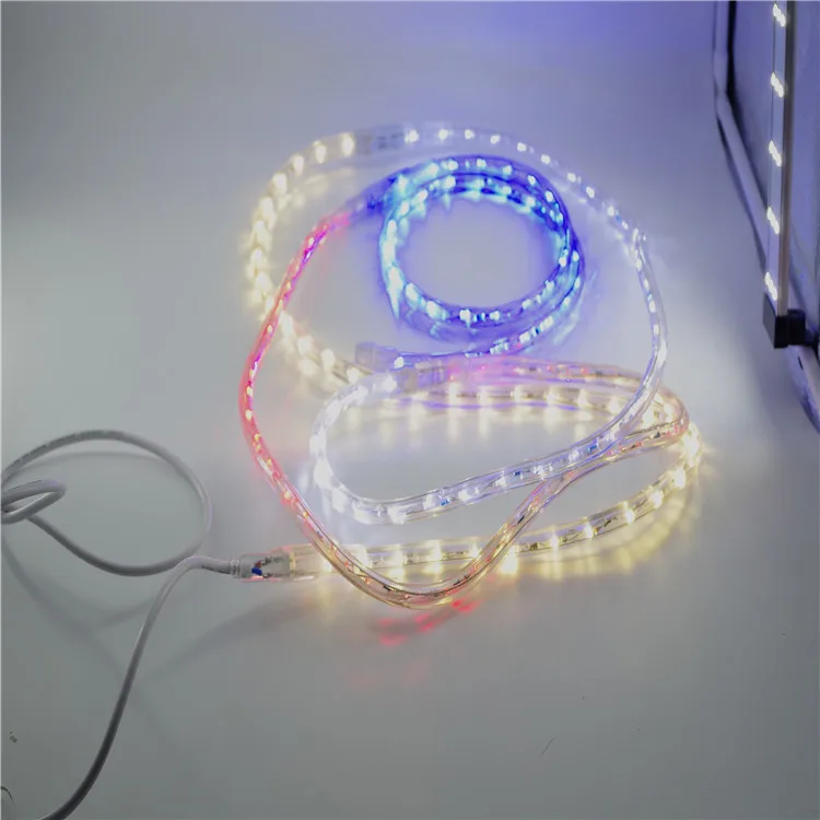 Christmas Time Waterproof Ip65 Best Selling Square Light 10m 20lamps Colorful String Lights Led Flexible Rope