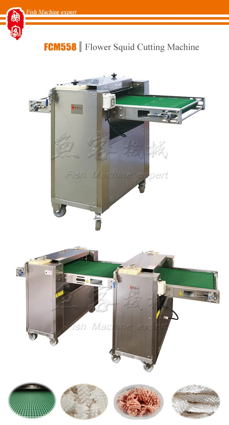 9 squid fish cut.jpg