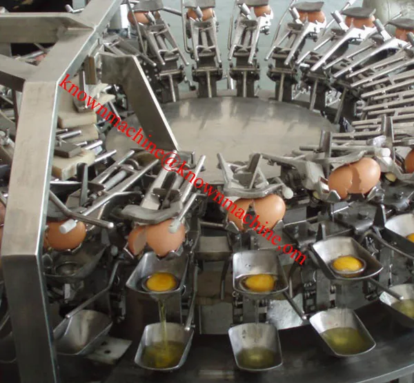 Professional Automatic Egg White And Egg Yolk Separator,Egg Processing