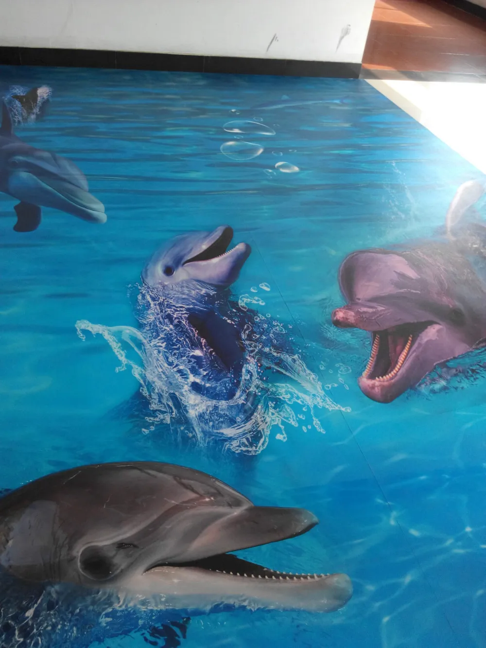 3d dolphin graphics art floor - buy dolphin a 3d floor,3 d floor