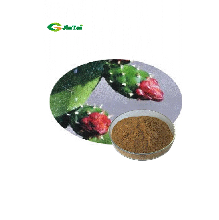 Opuntia Ficus Indica Cactus Extract Powder Nopal Cactus Powder Buy
