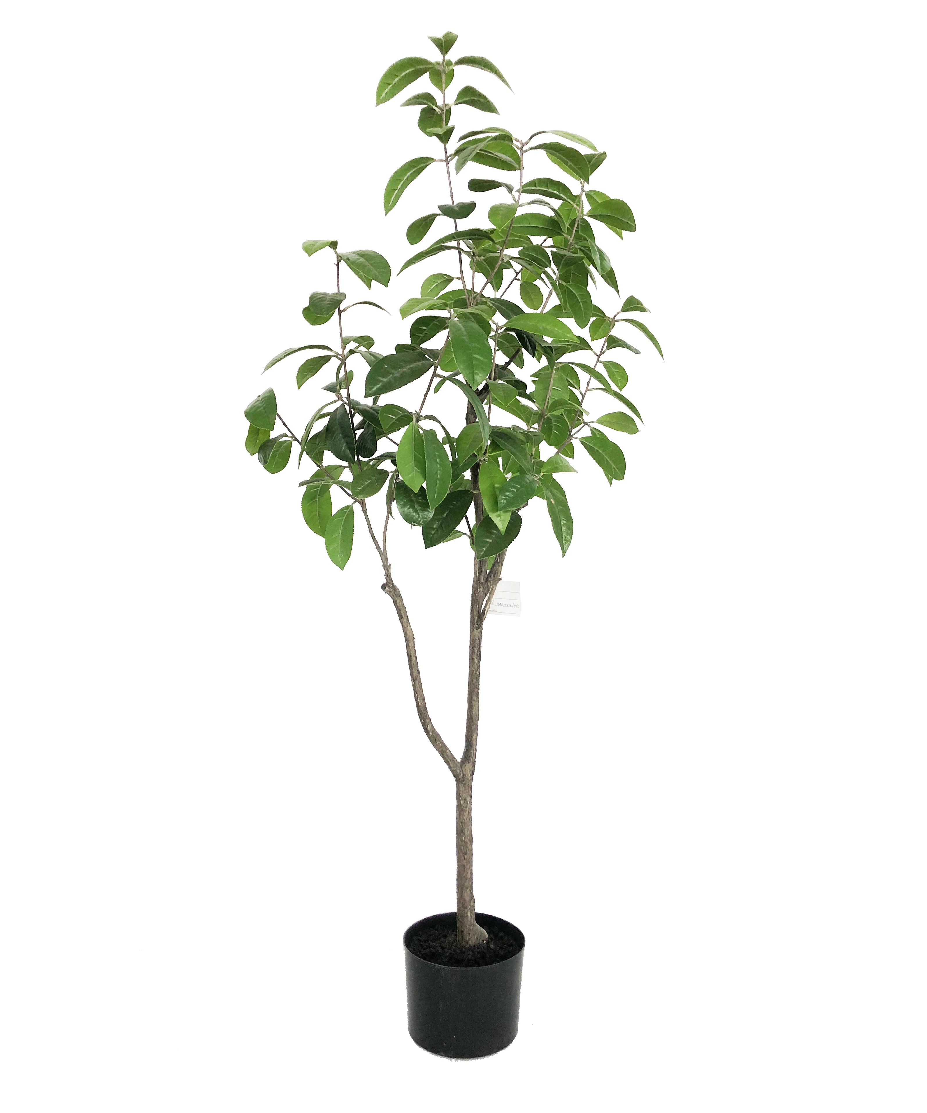 Wholesale Artificial Potted Flowering Magnolia Tree For Indoor And ...