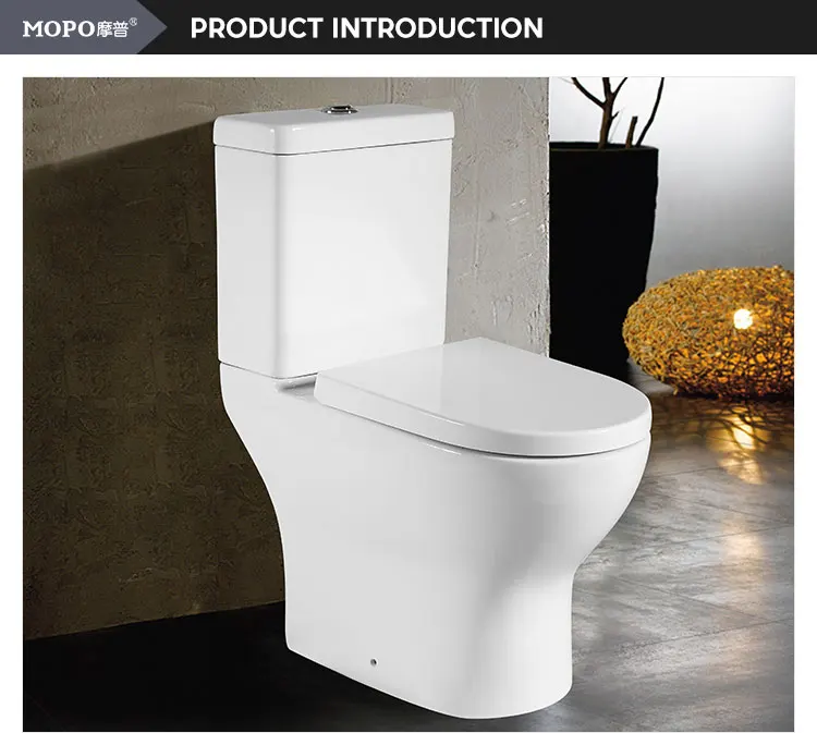 Turkish Cheap Price Pp Toilet Seat Ceramic Washdown Two Piece Toilet