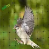 hdpe anti bird mesh/plastic bird network/bird netting lowes for orchard cover