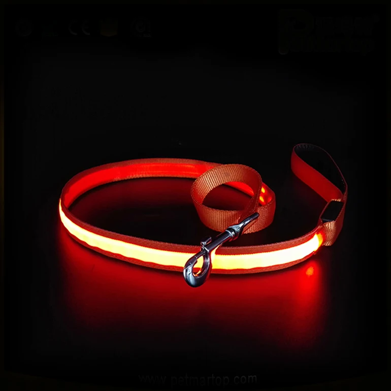 glow in the dark leash
