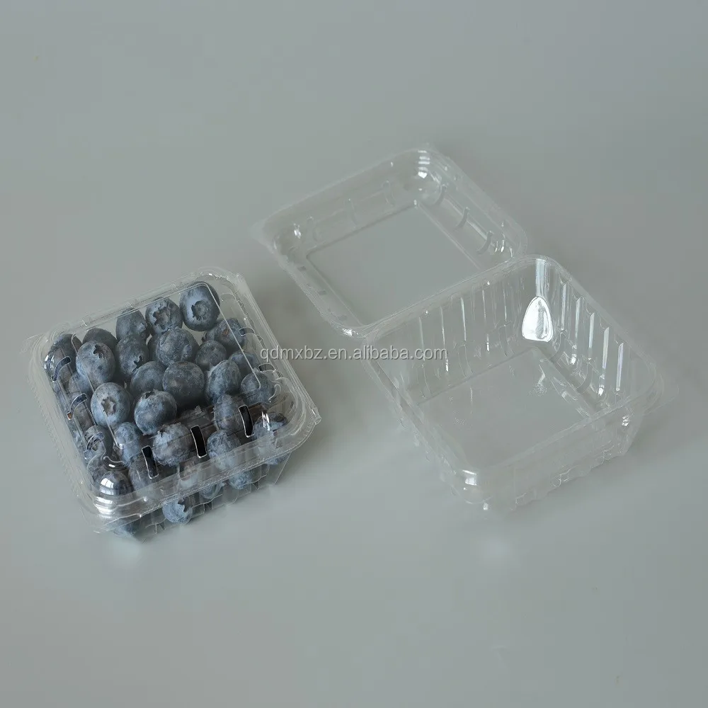 Are Plastic Blueberry Containers Recyclable at Janice Wells blog