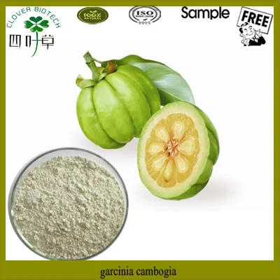 Green mountain coffee cio image 7