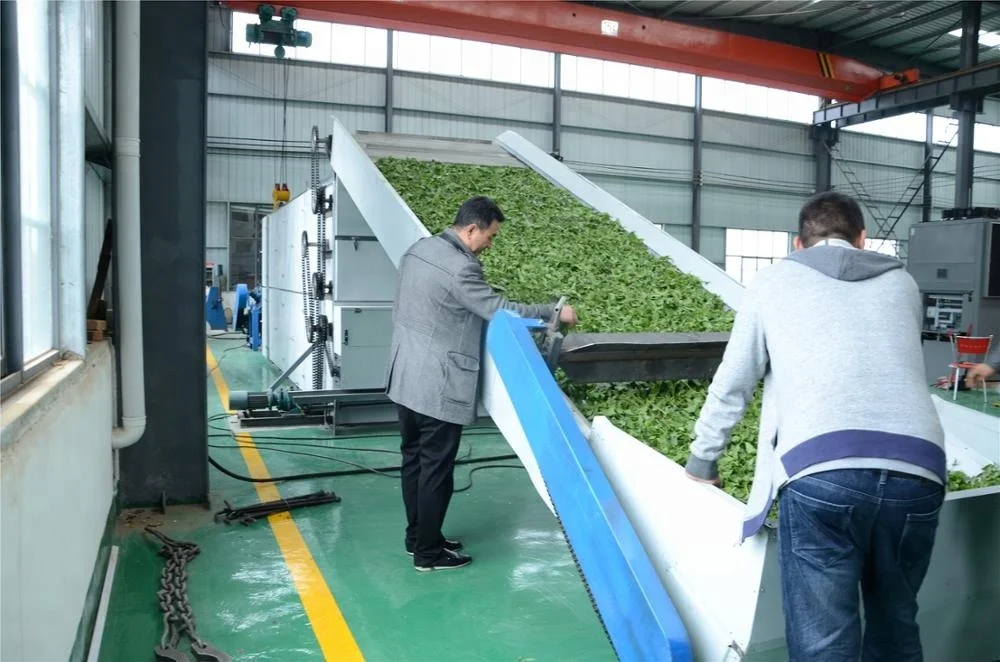 high profit agriculture vegetable pease mesh belt dryer