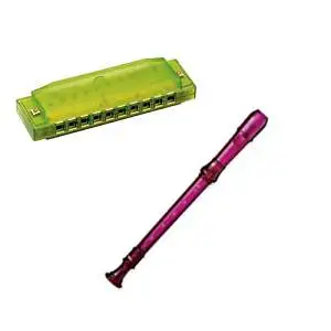 My First Recorder / Harmonica Pack -BPA FREE PurpleTranslucent Recorder w/Green Hohner Harmonica